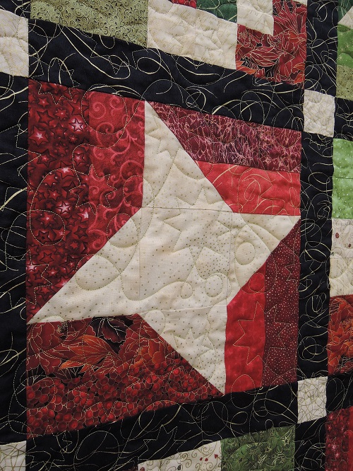 Sunburnt Quilts 2016 - Stars and Squares (5)