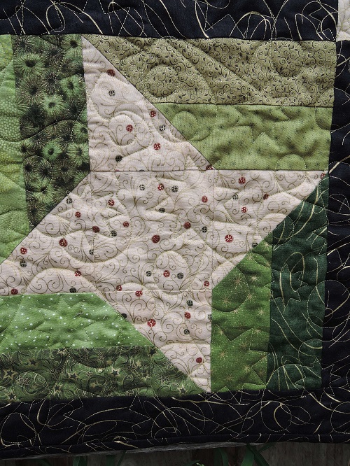 Sunburnt Quilts 2016 - Stars and Squares (8)